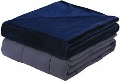 Dream Lab Plush 15lb Weighted Blanket With Removable & Washable Cover, Taupe, 48" X 72" -Electric Blankets Sales Store 31wuZptR7zL. AC