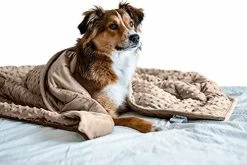 Pawfect Blanket Nappy Puppy - Weighted Dog Blanket | Specially Designed For Anxious Dogs | Extra Comfortable | Premium Minky Fabric | Hypoallergenic Glass Beads | Aqua | Medium 4 Lb -Electric Blankets Sales Store 410Pt1K39S. AC 2