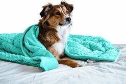 Pawfect Blanket Nappy Puppy - Weighted Dog Blanket | Specially Designed For Anxious Dogs | Extra Comfortable | Premium Minky Fabric | Hypoallergenic Glass Beads | Aqua | Medium 4 Lb