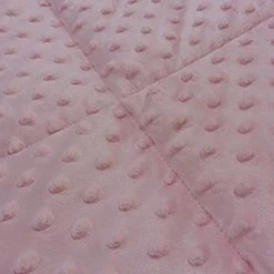 ALANSMA Reversible Weighted Blanket For All Season, Luxury Velvet, Warm And Cool, Adult Kids 10Lb Weighted Blanket, Enjoy Sleeping Anywhere(Pink,10Lb) -Electric Blankets Sales Store 4179N850fGS