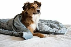 Pawfect Blanket Nappy Puppy - Weighted Dog Blanket | Specially Designed For Anxious Dogs | Extra Comfortable | Premium Minky Fabric | Hypoallergenic Glass Beads | Aqua | Medium 4 Lb -Electric Blankets Sales Store 41BRWSH1awS. AC