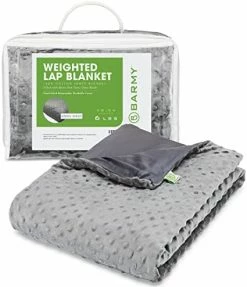 BARMY Weighted Lap Blanket (48"x24", 6lbs) Weighted Lap Pad With Removable Cover For Adults, Teens And Kids, Cotton Inner Blanket, Weighted Throw Blanket - Cool Gray 13 BARMY Weighted Lap Blanket (48"x24", 6lbs) Weighted Lap Pad With Removable Cover For Adults, Teens And Kids, Cotton Inner Blanket, Weighted Throw Blanket - Cool Gray -Electric Blankets Sales Store 41R6biqY5L. AC