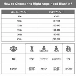 Angelhood Weighted Blanket Adult (25 Lbs, 88x104 Inches, King Or California King Size Bed),Oeko-Tex Certified Minky Weighted Blanket Warm Luxury,Heavy Weighted Blanket With Premium Glass Beads Green Minky Dot & Grey -Electric Blankets Sales Store 41i6ZLr3opL