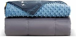 SLEEP ZONE Reversible Cooling Weighted Blanket 15 Lbs Twin 48x72 Inches Pressue Relief Blanket For Adults With Premium Glass Beads (Blue+Grey) -Electric Blankets Sales Store 41jchPpHs1L. AC