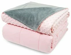 Aemicion Weighted Blanket For Adult Pink 15lbs 60" X80" Queen Size Premium Cotton Comfortable Heavy Bed Blanket With Glass Beads Removable Minky Dot Duvet Cover Pink Minky Cover & Pink Cotton Blanket
