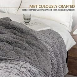 Weighted Blanket 15 Lbs, Sted Weighted Blanket Twin Size, Minky Dot Weighted Blanket For Adult, Dual Sided Soft Thick Heavy Blanket With Premium Glass Beads, Machine Washable, Grey 48"×72" 15 Lbs -Electric Blankets Sales Store 51DMQv74BUS