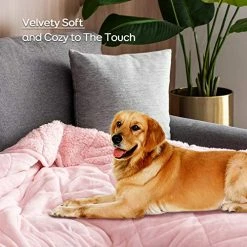 Lofus Sherpa Fleece Weighted Blanket Adults 15lbs For Full Size Bed, Ultra Fuzzy Fleece Comfort Sherpa Flannel Reversible Heavy Blanket - Pink - 48"x72" -Electric Blankets Sales Store 51XTGyE0tbL