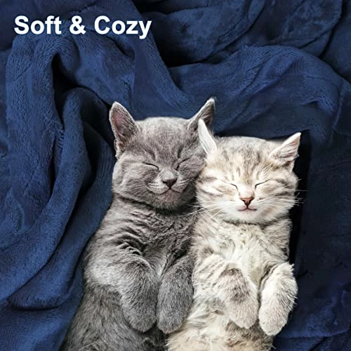 NABIYE Heated Blanket, Super Cozy Electric Blanket Throw Full Size 72''x84 With Fast Heating And 10 Hours Auto Off & 4 Heat Settings, ETL And FCC Certification & Machine Washable(Blue) 5 NABIYE Heated Blanket, Super Cozy Electric Blanket Throw Full Size 72''x84 With Fast Heating And 10 Hours Auto Off & 4 Heat Settings, ETL And FCC Certification & Machine Washable(Blue) - Image 3