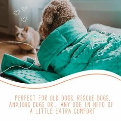 Pawfect Blanket Nappy Puppy - Weighted Dog Blanket | Specially Designed For Anxious Dogs | Extra Comfortable | Premium Minky Fabric | Hypoallergenic Glass Beads | Aqua | Medium 4 Lb -Electric Blankets Sales Store 51mmeLY3y5L
