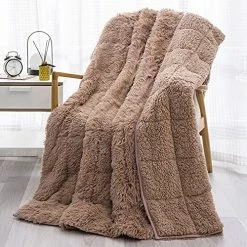 Wemore Shaggy Long Fur Faux Fur Weighted Blanket, Cozy And Fluffy Plush Sherpa Long Hair Blanket For Adult 15lbs, Fluffy Fuzzy Sherpa Reverse Heavy Blanket For Bed, Couch, Pink, 60 X 80 Inches -Electric Blankets Sales Store 61xH6 beLWS. AC 1